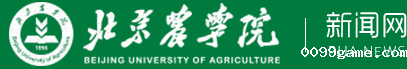新闻网